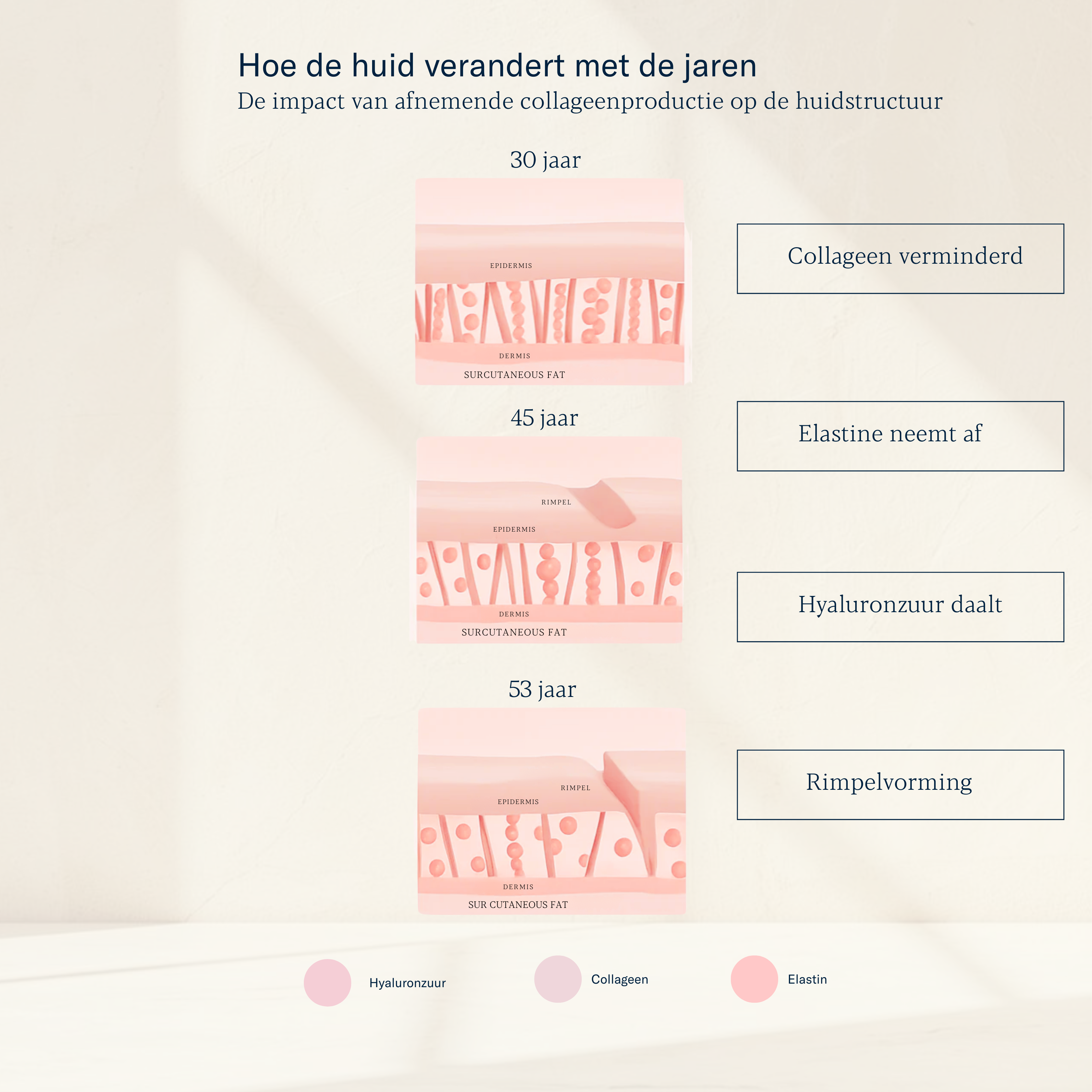 Marine Collagen Care Blend (1/4 year)